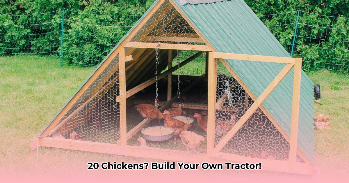 chicken-tractor-for-20-chickens